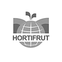 id1 - Logo Hotfruit