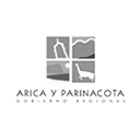 id1 - Logo Arica y Parinacota