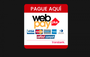 id1 - Banner webpay para pago